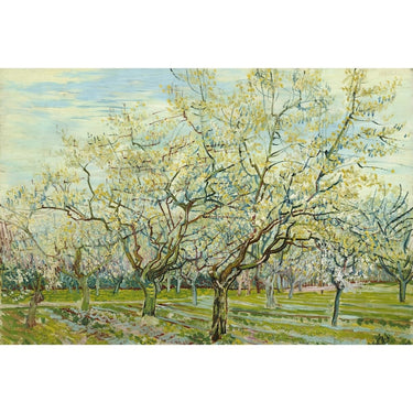 Van Gogh Cherry Blossom Painting